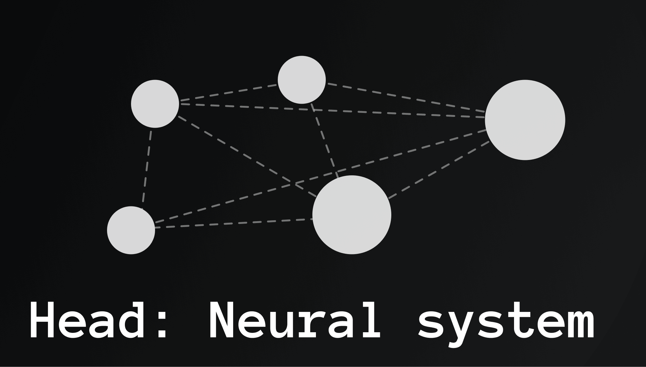 Head — A Neural System Across Projects